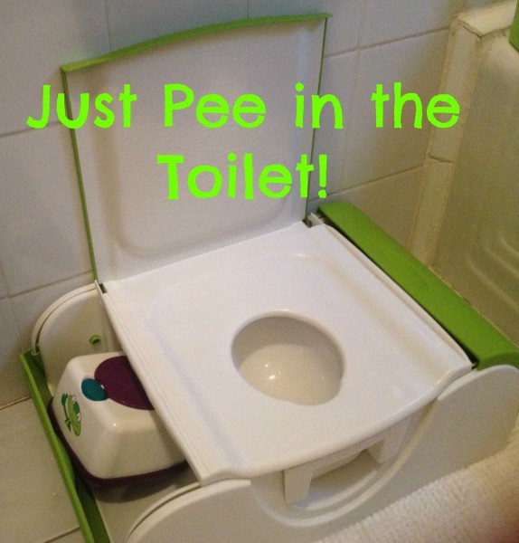 Toilet Training a Toddler