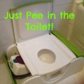 Toilet Training a Toddler